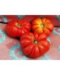 Tomato 'Mystery Weirdo'