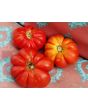 Tomato 'Mystery Weirdo'
