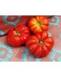 Tomato 'Mystery Weirdo'