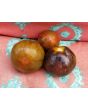 Tomato 'Cosmic Eclipse'