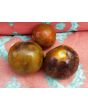 Tomato 'Cosmic Eclipse'
