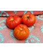Tomato 'Chalk's Early Jewel' 