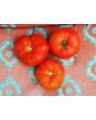 Tomato 'Chalk's Early Jewel' 