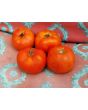 Tomato 'Break O' Day'
