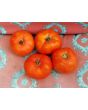 Tomato 'Break O' Day'