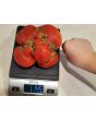 Tomato 'Tall Vine Brandywine'