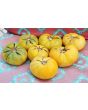 Tomato 'Hawaiian Pineapple' 