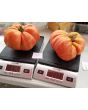 Tomato 'Brandywine'