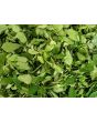 Wild Spinach AKA Lamb's Quarters Seeds (Certified Organic)