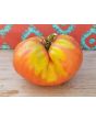 Tomato 'Rufus Carrigan's Mexican Pink'