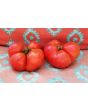 Tomato 'Aunt Lou's Underground Railroad' Seeds (Certified Organic)