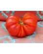 Tomato 'Mystery Weirdo'