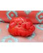 Tomato 'Mystery Weirdo'