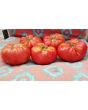 Tomato 'Brandywine'