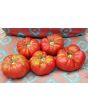 Tomato 'Brandywine'