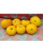 Tomato 'Lillian's Yellow Heirloom'