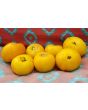 Tomato 'Lillian's Yellow Heirloom'