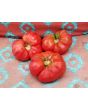 Tomato 'Lithuanian'