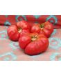 Tomato 'Lithuanian'
