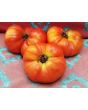Tomato 'Purple Hillbilly'