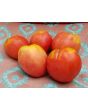 Tomato 'Monkey Ass'