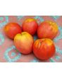 Tomato 'Monkey Ass'