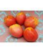 Tomato 'Monkey Ass'