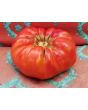 Tomato 'Rufus Carrigan's Mexican Pink'