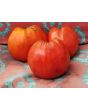 Tomato 'Red Monkey Ass’ 