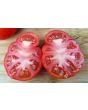 Tomato 'Homestead'