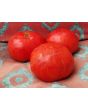 Tomato 'Giant Belgium' Seeds