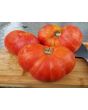 Tomato 'Solar Flare' 