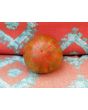 Tomato 'Pink Boar' 