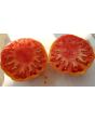 Tomato 'Mr. Brown Pink' 