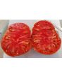 Tomato 'Pink Jazz'
