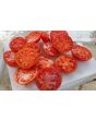Tomato 'Norduke' 