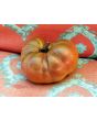 Tomato 'Cherokee Carbon' (Heirloom Marriage)