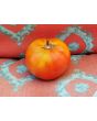 Tomato 'Thessaloniki'