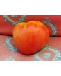 Tomato 'Reif Red Heart' 