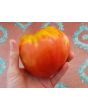Tomato 'Reif Red Heart' 