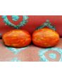 Tomato 'Plum Tigris'