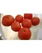 Tomato 'Floradade' Seeds