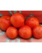 Tomato 'Floradade' Seeds