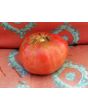 Tomato 'Flathead Monster Pink' Seeds (Certified Organic)