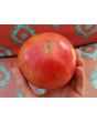 Tomato 'Flathead Monster Pink' Seeds (Certified Organic)
