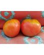 Tomato 'Pink Honey' AKA 'Rozovyi Myod' 