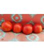 Tomato 'Grosse Lisse' 