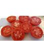 Tomato 'Grosse Lisse' 