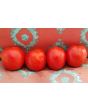 Tomato 'Mary's Square Paste' AKA 'Grandma Mary's Paste' 