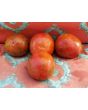 Tomato 'Pink Boar' 